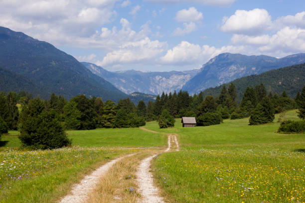 A quiet alpine path in Triglav National Park. From Bohinjska Bistrica to Lake Bohinj, Slovenia. The forested route offers scenic mountain views