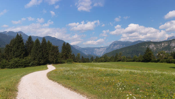 istock A quiet alpine path in Triglav National Park. 2200881798