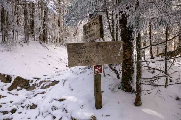 Sign indicating a trail running through a snow covered forest on a sunny day in winter