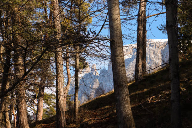 Panorama of Trentino mountains in winter (Italy). Trentino mountains (Italy)
