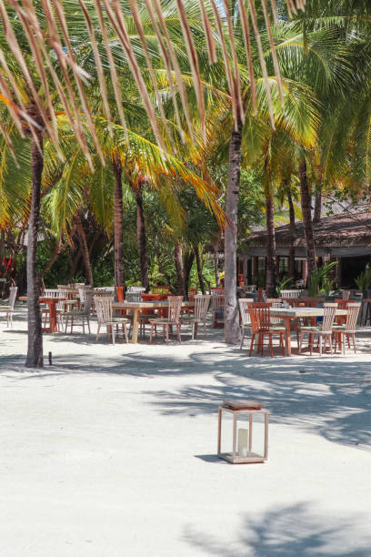istock tropical Beach side Restaurant by the Sea with outdoor chairs and table setting under palm trees at luxury Maldives island resort 2200896589