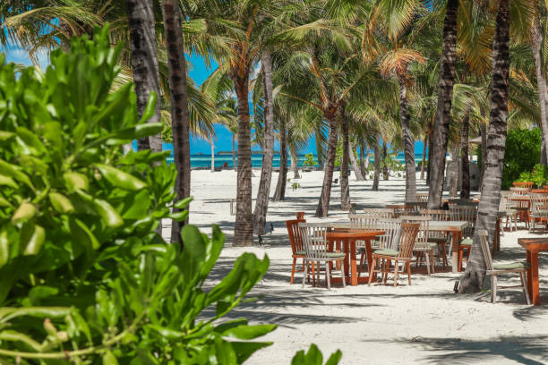 istock tropical Beach side Restaurant by the Sea with outdoor chairs and table setting under palm trees at luxury Maldives island resort 2200896637
