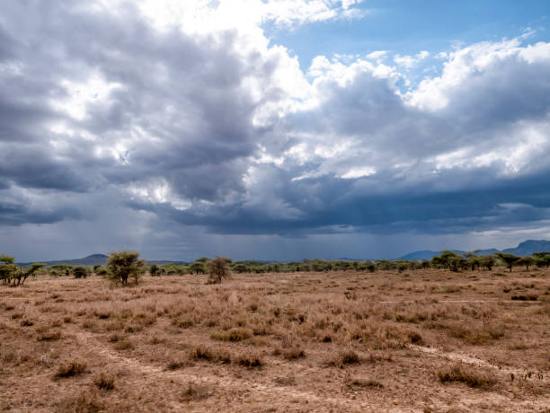 istock Thunderstorm atmosphere in the Serengeti. 2200901912