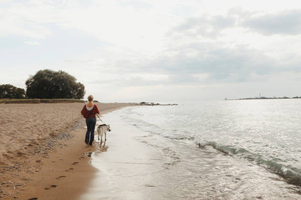 istock Woman and Husky at the Beach 2200907793