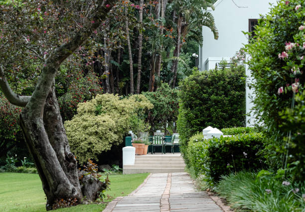 istock walking path to villa on hotel grounds. way to house. backyard landscaping 2200910016