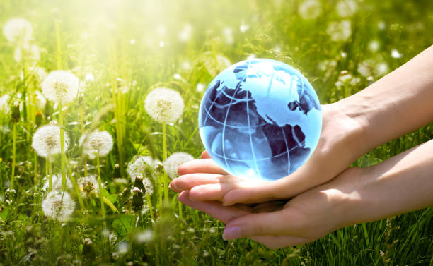 istock World Environment Day or Earth Day concept. Save and protect nature and ecology. Planet globe in hands on green grass and dandelions background. 2200910908