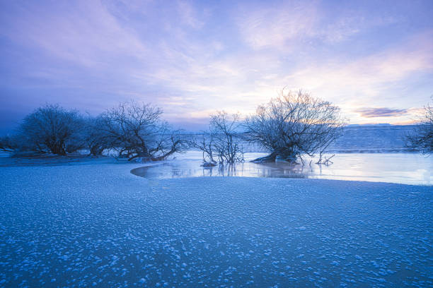 A mesmerizing winter landscape featuring frost-covered trees standing over a partially frozen stream, illuminated by the soft hues of dawn. The intricate ice formations on the surface create a striking texture, contrasting with the delicate branches that reach toward the sky. The background showcases a subtle sunrise blending warm golden tones with the deep blue of the frozen terrain, enhancing the serene and ethereal atmosphere. A captivating depiction of winter’s stillness and natural beauty in a remote, icy wilderness.