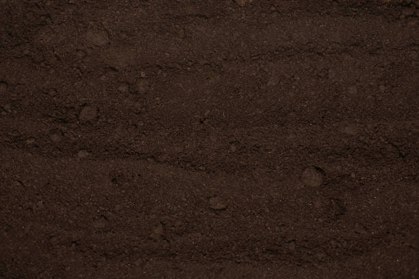istock Black land for plant background. Top view. 2200912885