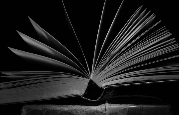 istock Open book, Reading, learning, education or home office concept. Black and white image, free copy space. 2200916142