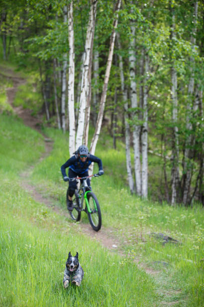 istock Mountain Bike Dog Ride 2200916373