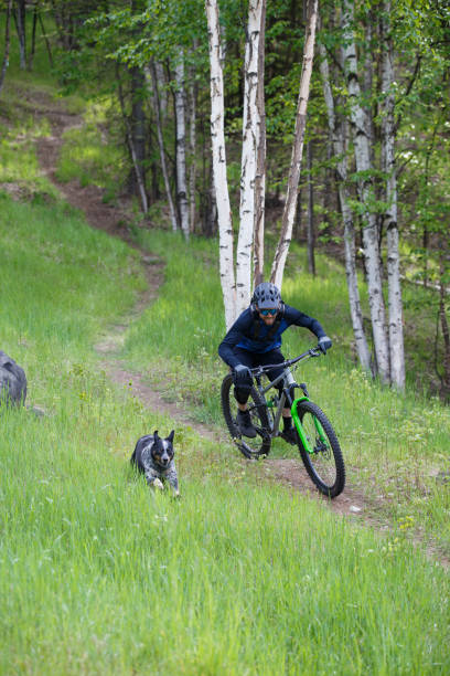 istock Mountain Bike Dog Ride 2200916374