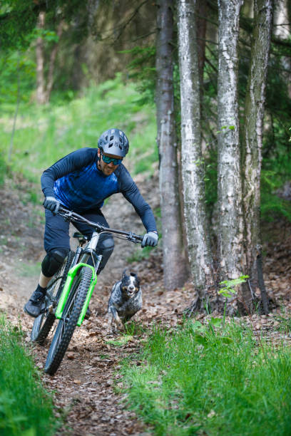 istock Mountain Bike Dog Ride 2200918697