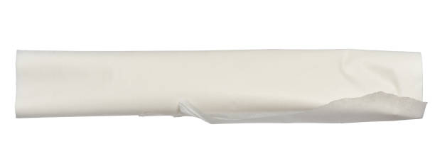 istock Roll of white parchment paper on isolated background 2200921530