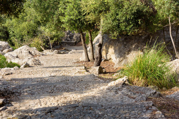istock Stone pathway to the hill with a cross at Lluc sanctuary in Mallorca 2200928953