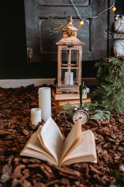 Cozy reading nook with lantern, books, and natural decorations