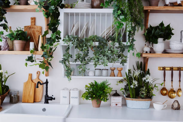istock Kitchen with greenery and organized utensils boosts a cozy vibe 2200929920