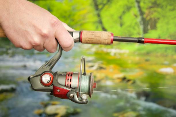 hands of a person holding a spinning rod with a reel against the backdrop of a clear river surrounded by green vegetation