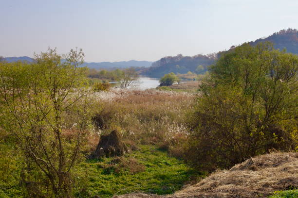istock Ocheon Bike Path Along Miho Stream 2200939725