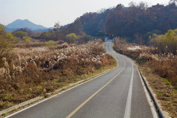 Sejong City, South Korea - November 12, 2020: A winding section of the Ocheon Bike Path stretches through tall reeds and autumn foliage near Miho Stream, offering cyclists a scenic ride through nature.