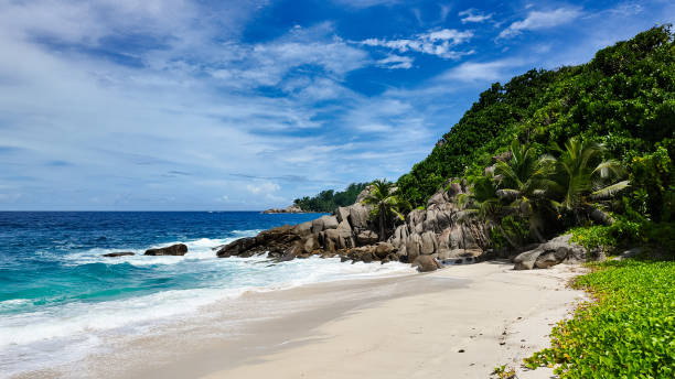 istock Tropical shoreline with lush plants and turquoise waves, Seychelles, Mahe. 2200950690