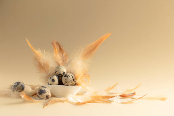 istock Quail eggs and feathers on a beige background. 2200954625