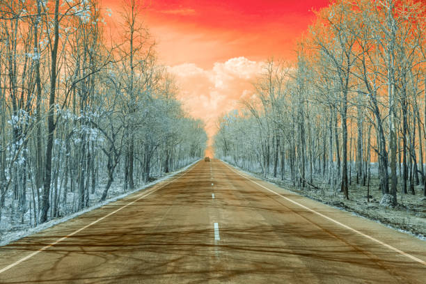 The image shows a straight road lined with trees on both sides. The trees appear bare, suggesting a winter or post-fire environment. The sky has a bright orange hue, which could indicate sunrise, sunset, or an artistic alteration.