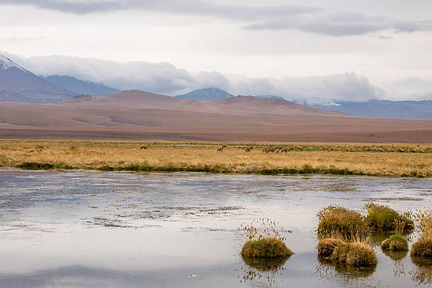 Maipo River in El Toyo sector, mountain range of the Metropolitan Region