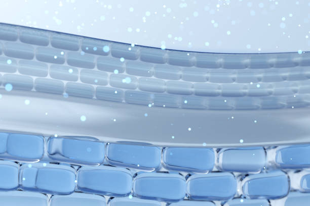 istock Hyaluronic acid penetrate deep skin layers 2200973171