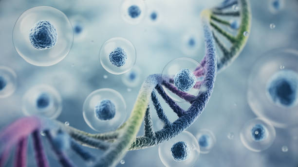 istock 3d rendering Colorful DNA and flying Human cell or Embryonic stem cell on microscope background, Depth Of Field. 2200974587