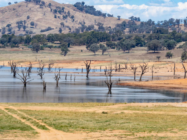 istock Stark dead trees sitting in water surrounded by brown summer hills 2200974699