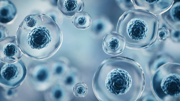 istock 3d rendering Flying Human cell or Embryonic stem cell on microscope background, Depth Of Field. 2200974701