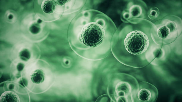 istock 3d rendering Flying Human cell or Embryonic stem cell on microscope background, Depth Of Field. 2200974717