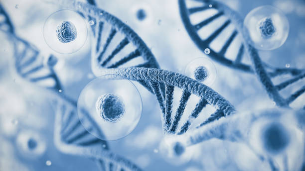 istock 3d rendering Colorful DNA and flying Human cell or Embryonic stem cell on microscope background, Depth Of Field. 2200974803