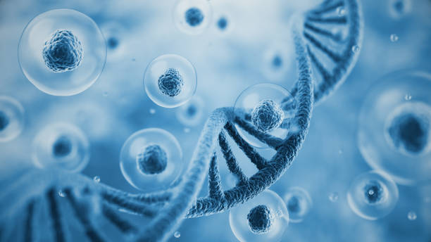 istock 3d rendering Colorful DNA and flying Human cell or Embryonic stem cell on microscope background, Depth Of Field. 2200974839