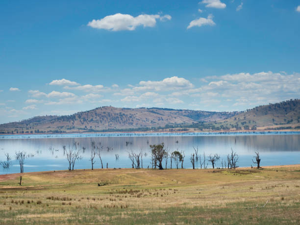 istock Stillness on a wide expanse of lake with exposed dead trees 2200974868