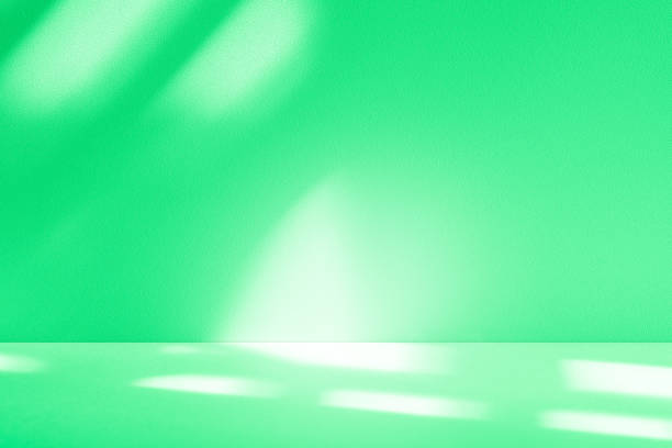 istock Studio style background wall decoration presentation uses white and green tones. with shadows cast from a nearby window, concept creating a decorative 2200975999