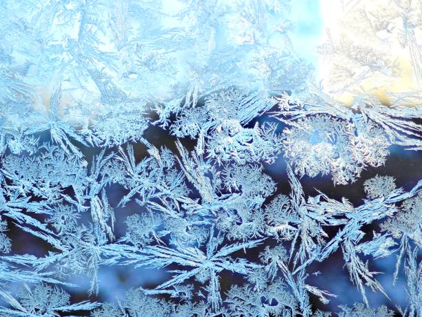 beautiful ice flowers