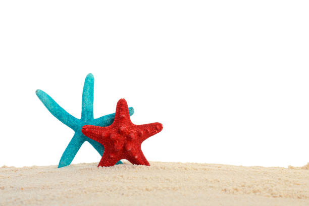 istock Honeymoon concept. Two sea stars and sand isolated on white 2200984612