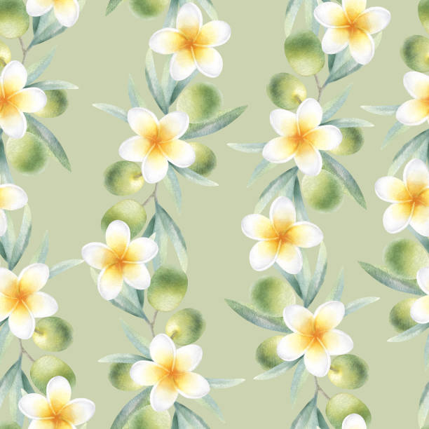 istock Olive branches with leaves, fruits and plumeria flowers seamless pattern on light olive color. Hand drawn botanical watercolor illustration with green olives and frangipani for packaging, fabrics 2200991484