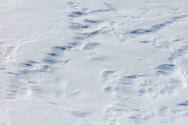 istock The snow is white and the ground is covered in it 2200993266