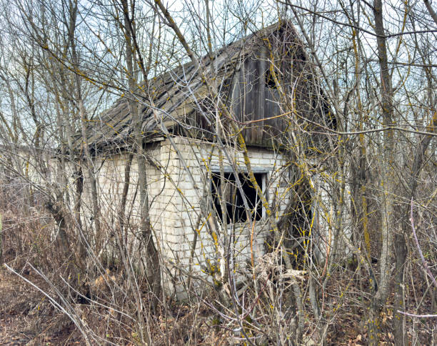 Old village building in spring in Russia, Lomography