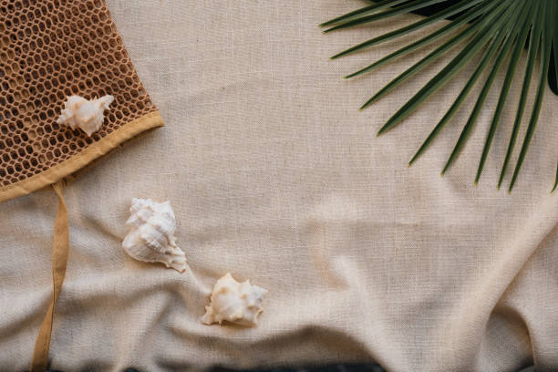 istock beach flatlay background with seashells and tropical palm leaves, aesthetic beach set up view from top 2201005746