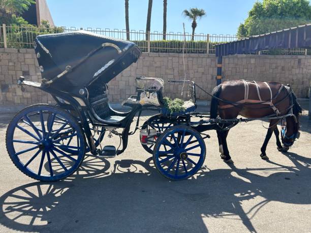 istock Horse and Carriage on Corniche of Luxor 2201006871