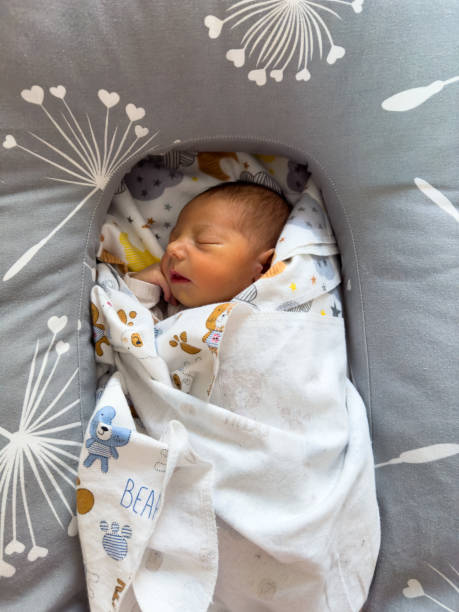 istock Newborn Baby Sleeping in Cozy Blanket 2201007587