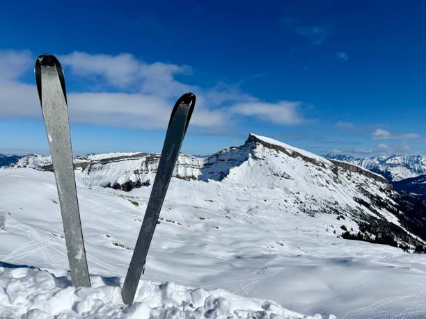 istock Touring ski on top of a mountain 2201008836