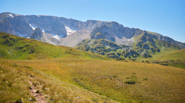 istock The Caucasian Biosphere Reserve. The highest peak, Mount Psheha-su. 2201012782
