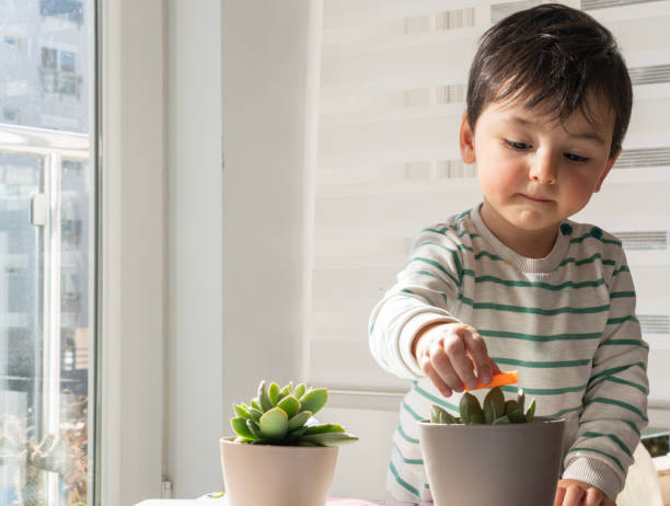 istock Cute little boy playing with flowers in the kitchen 2201013702
