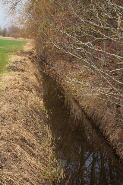 istock drainage ditch with dark water next to a harvested field in late winter 2201016834