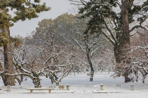 istock Snowy landscape in the park 2201017616