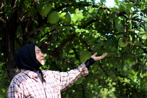 East Asian people living in healthy life.